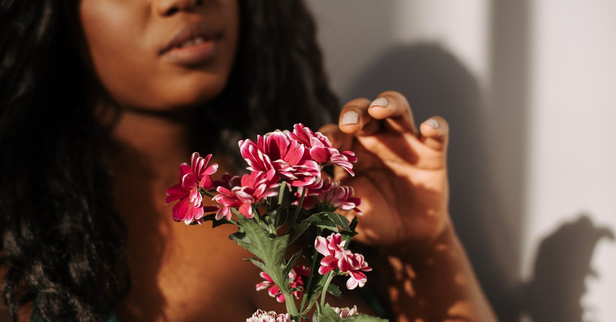 Is there any explanation for Lou Bloom's mannerisms and personality in Nightcrawler? - Crop attractive African American female with long wavy hair touching gentle pink pelargonium flower in bedroom