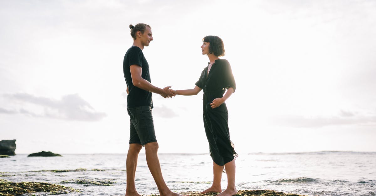 Is there any romantic angle suggested between Po and Tigeress? - Man and Woman Standing on Beach