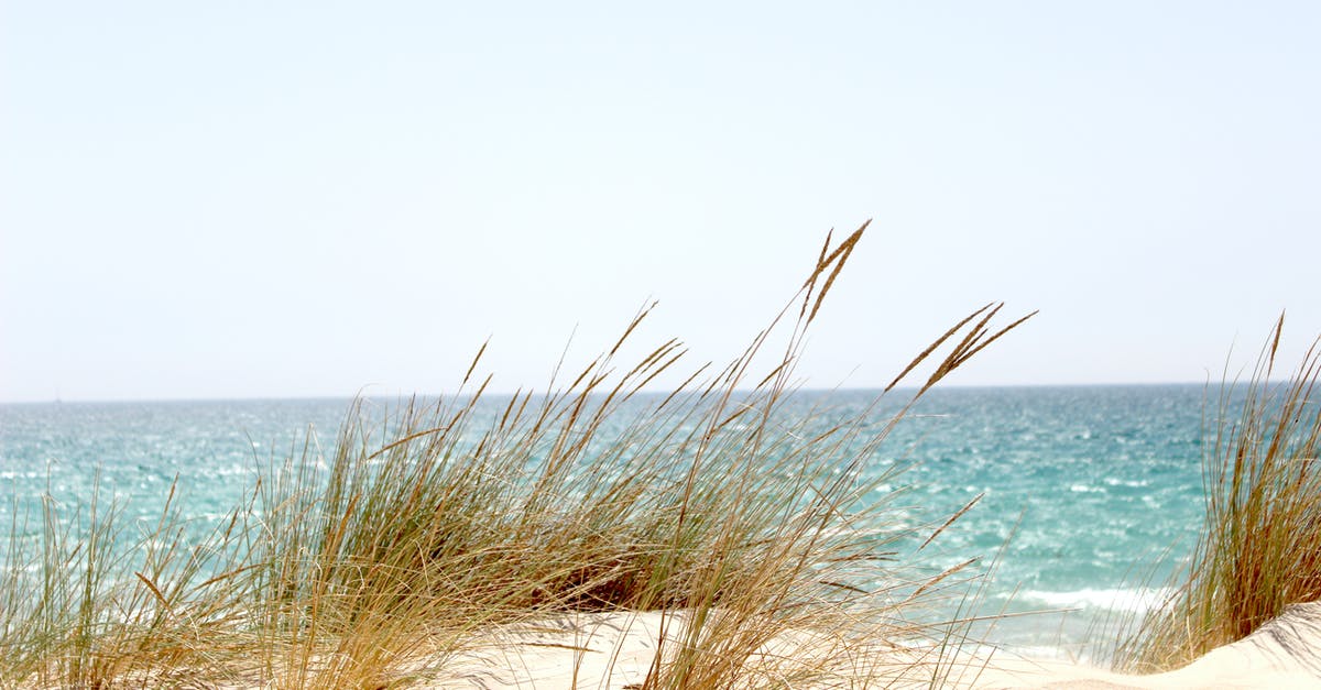 Jodorowsky's Dune artbook - Grass Beside the Sea