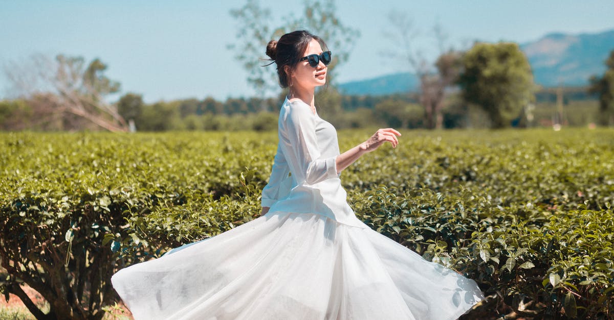 Looking for the complete Happy Days Spin Off Tree - Joyful female wearing white summer dress and sunglasses enjoying time while spinning in field on summer day