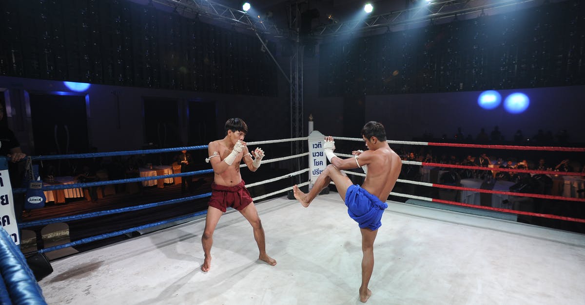 Maximus fighting the masked champion in the arena with tigers - Photo of Two Men Fighting