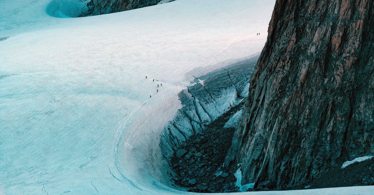 Meaning of 'Does it ever get cold on the moral high ground?' - Trunk of massive tree in snow