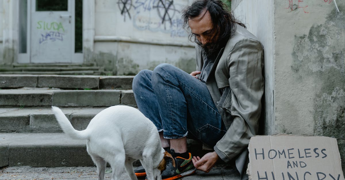 Meaning to the homeless dog in Netflix’s Fractured - Man in Blue Denim Jeans Sitting Beside White Short Coat Dog