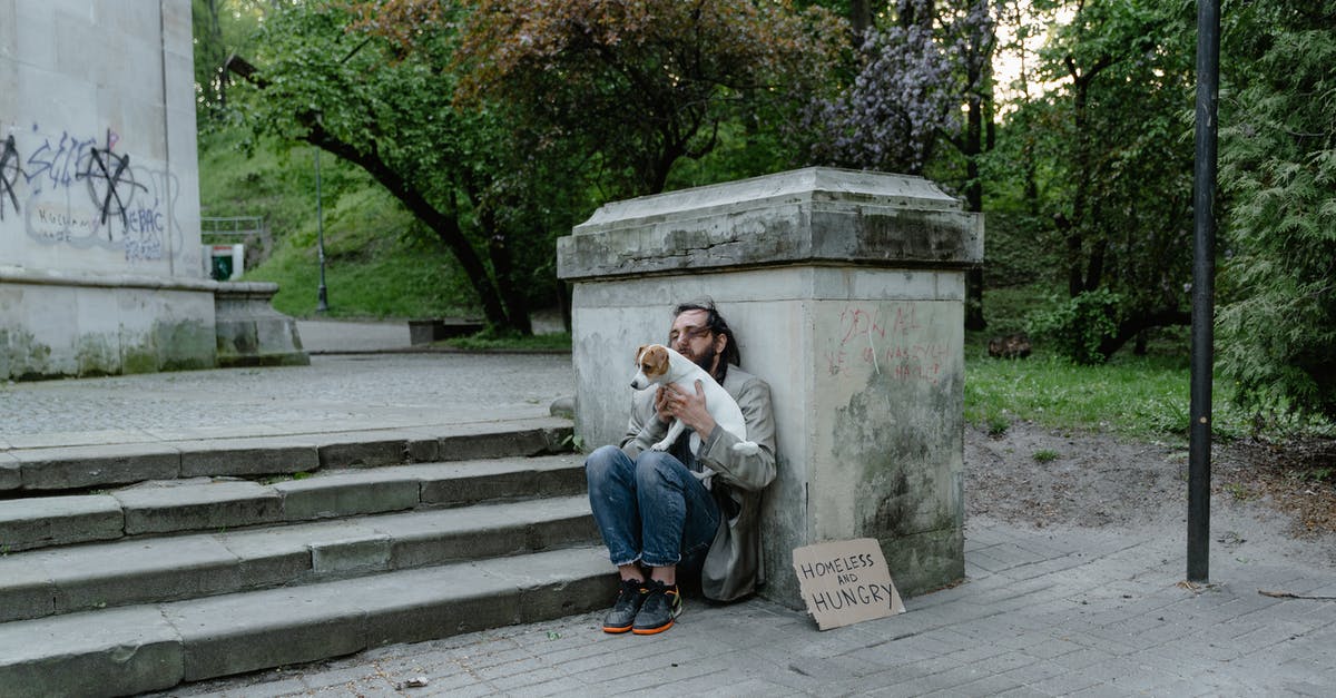 Meaning to the homeless dog in Netflix’s Fractured - A Homeless Man With a Dog 