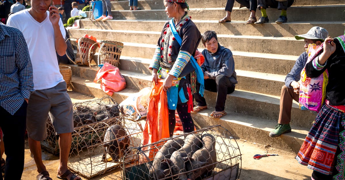 Miniseries where a man and woman investigate supernatural happenings in a small town [closed] - Crop anonymous Asian vendors and shoppers on staircase against little pigs in cages in urban bazaar on sunny day