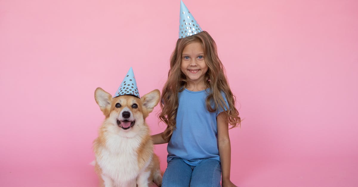Movie trailer: Kidnapped little girl shooting herself with handgun [closed] - Little Girl and a Corgi Dog in Birthday Caps 