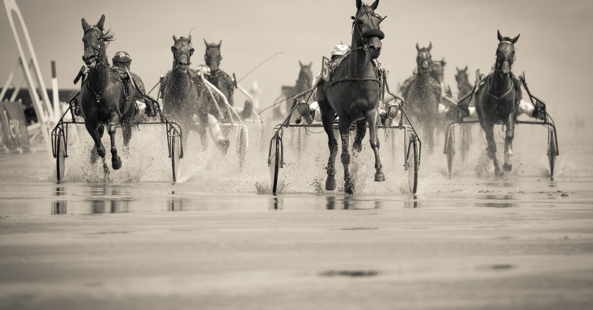 Name of B western movie that starts with horse race [closed] - Grayscale Photo of Group of Horse With Carriage Running on Body of Water