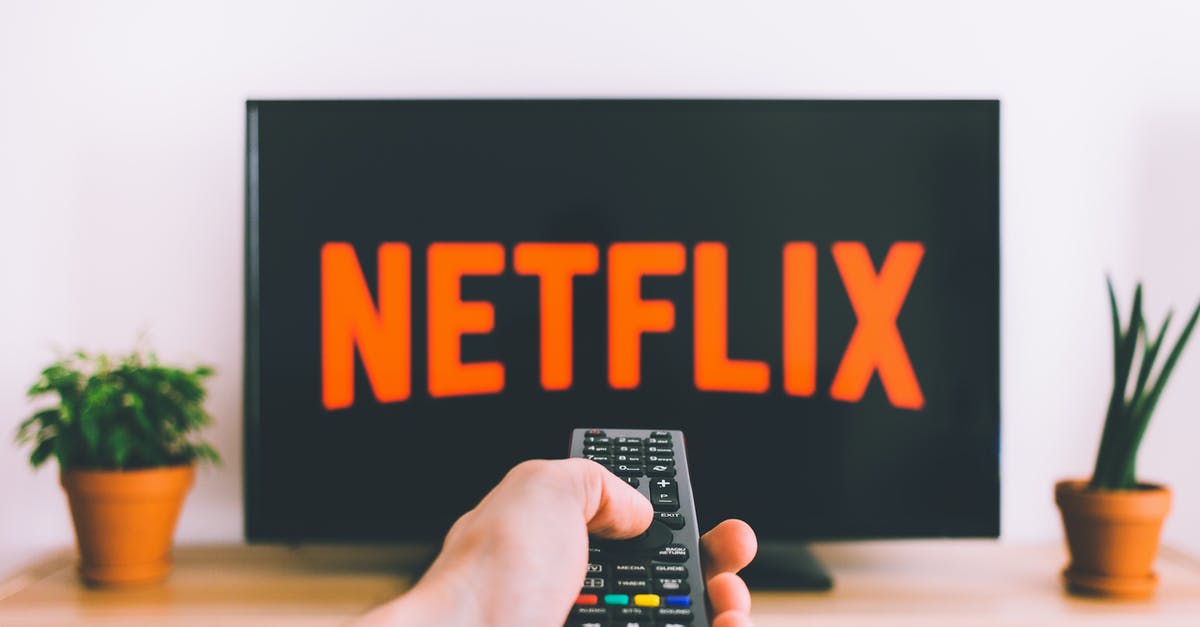 Profit of movies streamed on Netflix - Person Holding a Remote Control