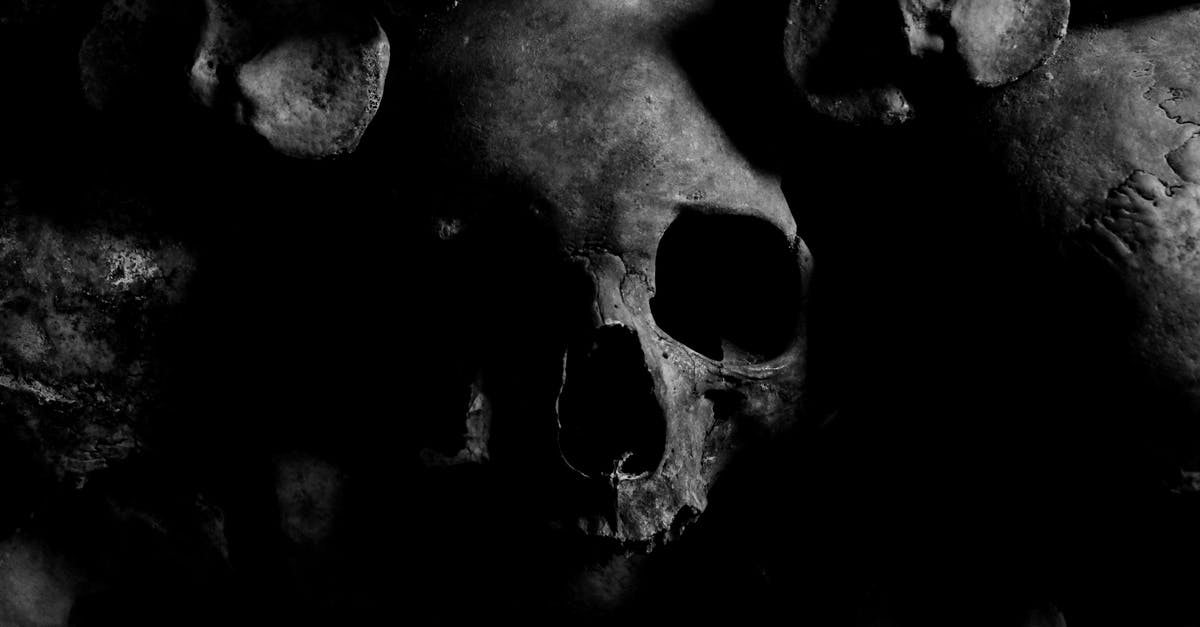 Reason behind Robert McCall's fake death - Close-up Photo of Skull
