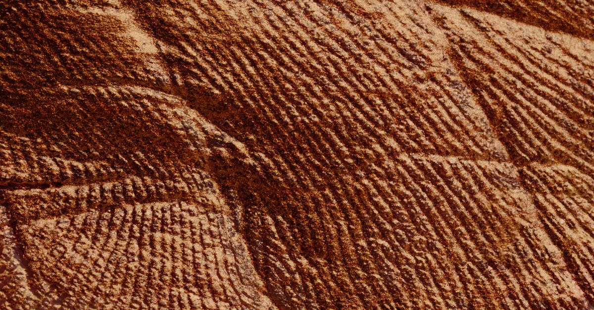 Roark Junior suffers damage to groin [closed] - Closeup of abstract rough textured parget surface of brown color with cracks