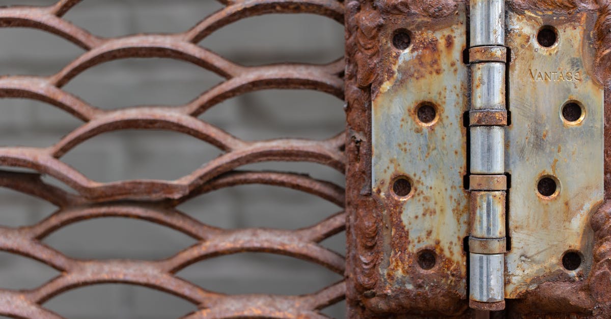 Roark Junior suffers damage to groin [closed] - Old metal door hinge with weathered lattice