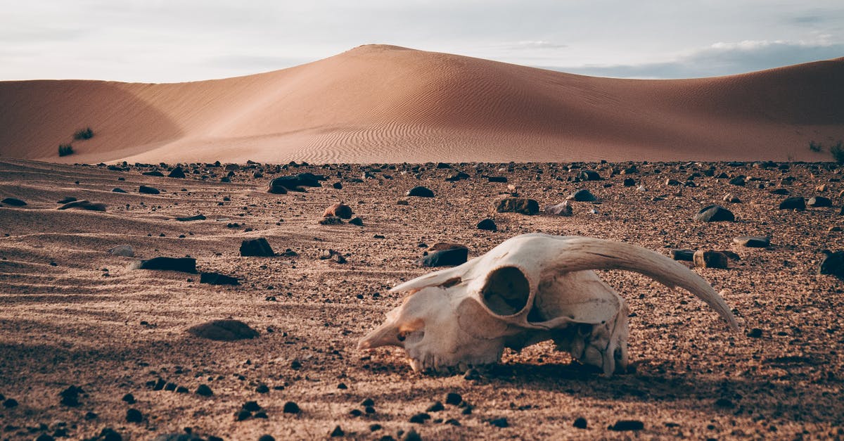 Role of death in Supernatural - Remnants on Desert