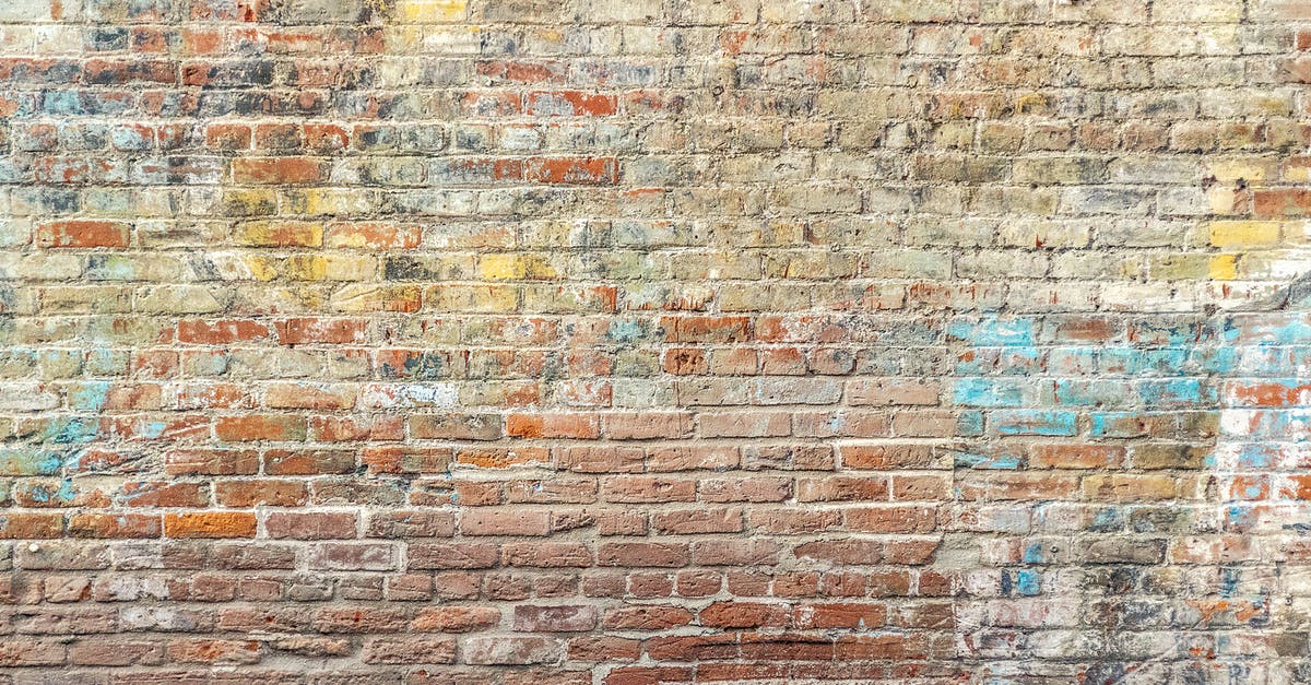 Roughly how old was L? - Closeup Photo of Brown Brick Wall