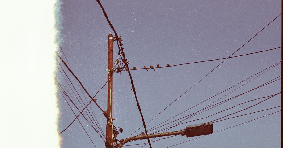 Scene with passport connected to wires - Flock of Birds on Utility Post