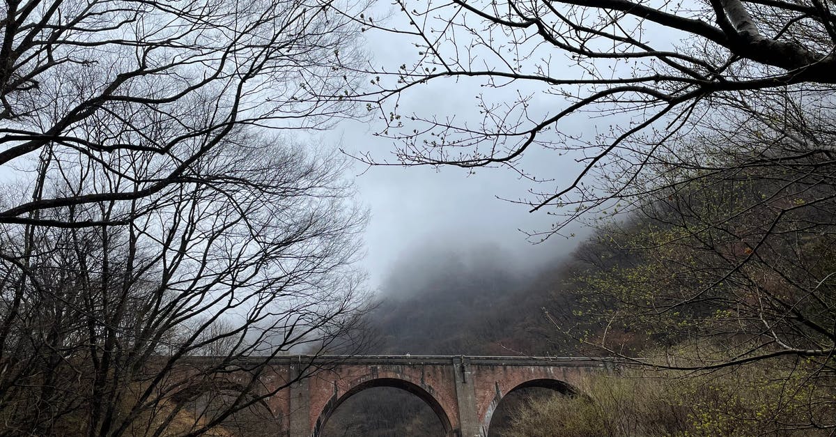 Season 2: What is so important about the bridge? - Concrete Bridge Near Bare Trees Under Cloudy Sky