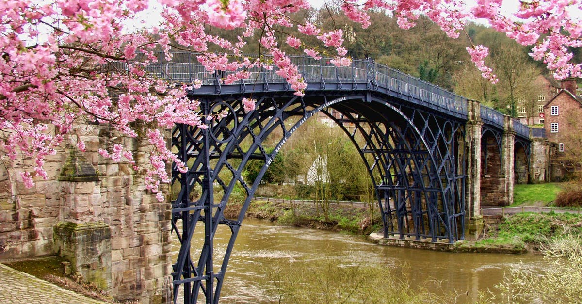 Season 2: What is so important about the bridge? - Cherry Blossom Tree Beside Black Bridge