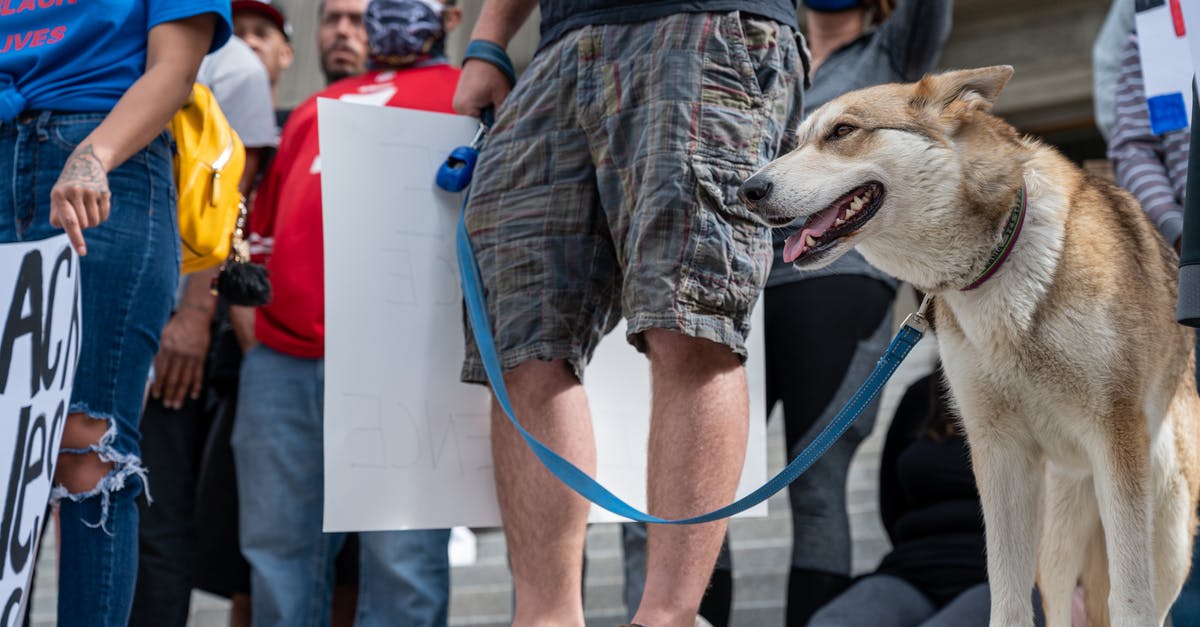 Significance of Sam Roger's dog references? - Unrecognizable man with dog on protest