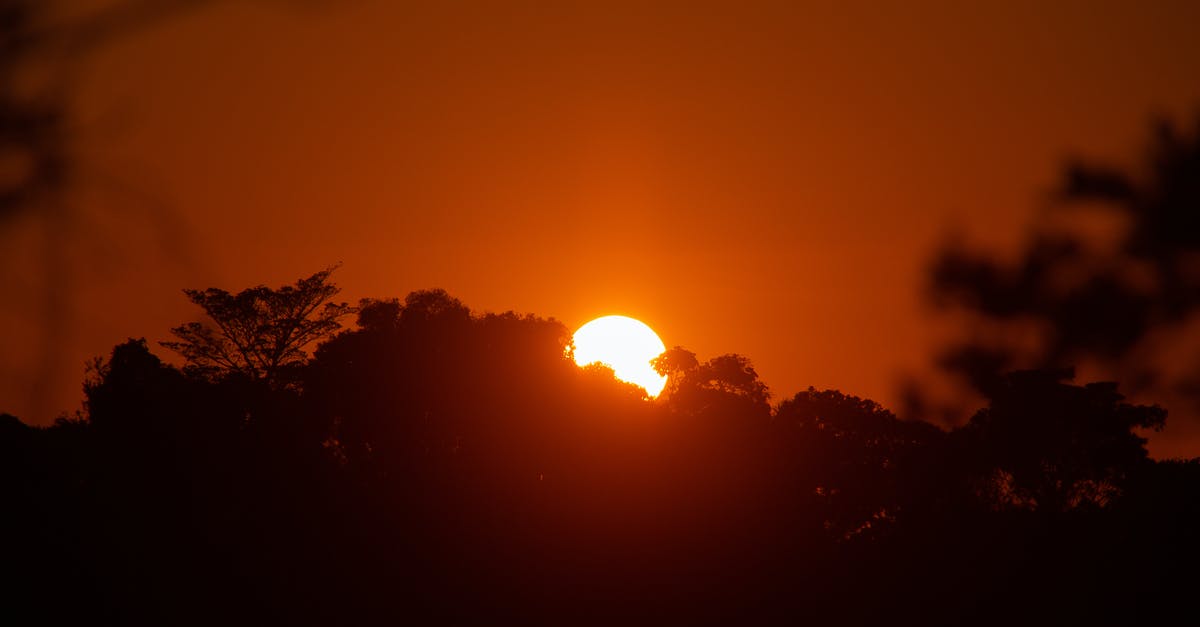 sun setting in the south - Silhouette of Trees during Sunset