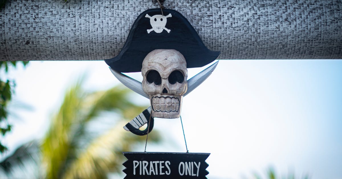 Syd and Pirate in a relationship? - Black and White Skull Hanging Decor