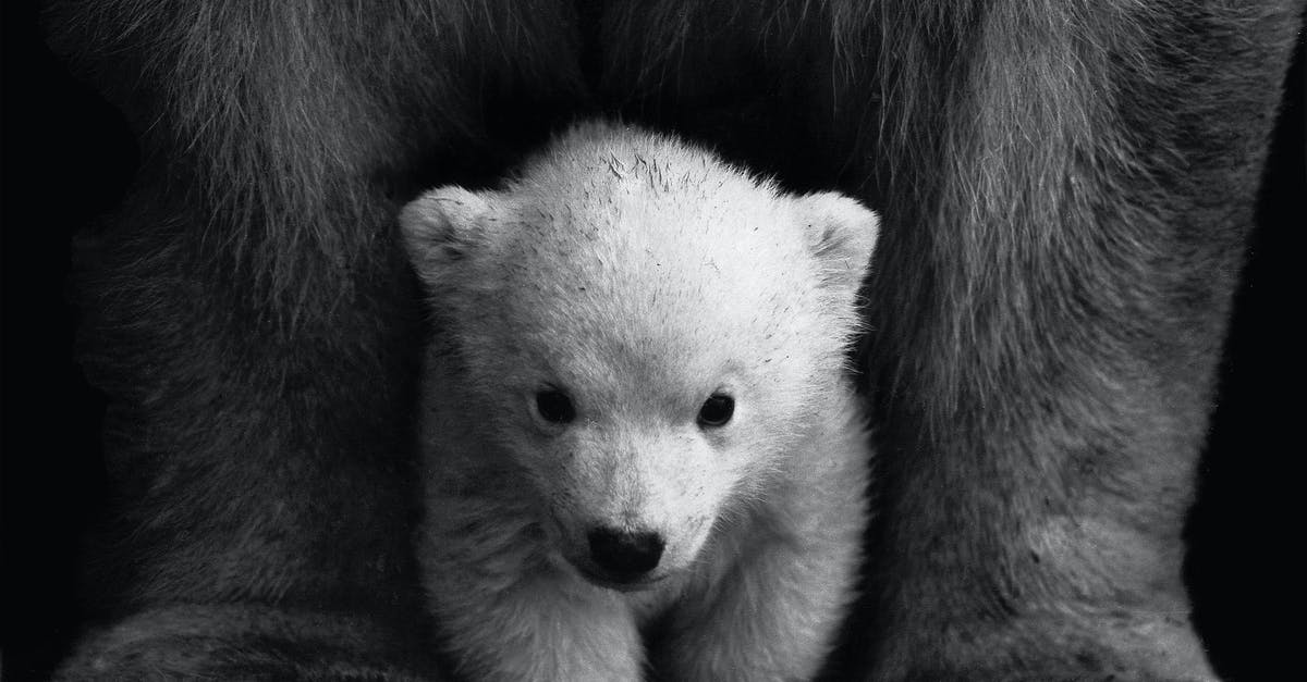 The death of Billy Sole in Predator - Grayscale Photo of a Polar Bear Cub 