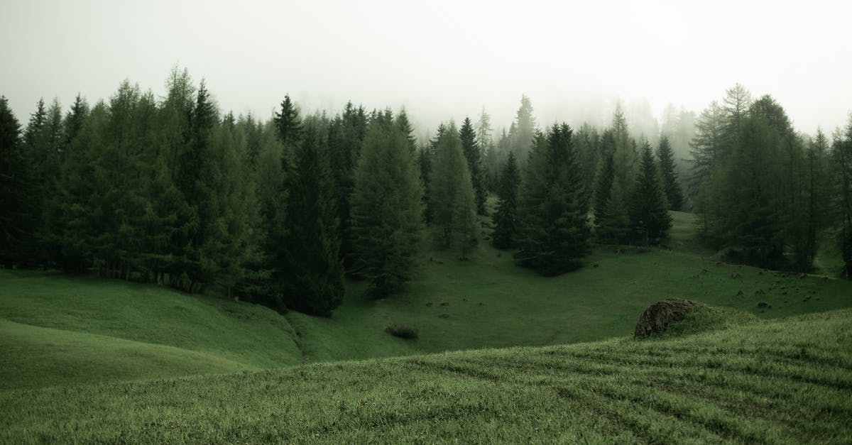The Meaning of One Tree Hill - Green meadow with trees on cloudy day
