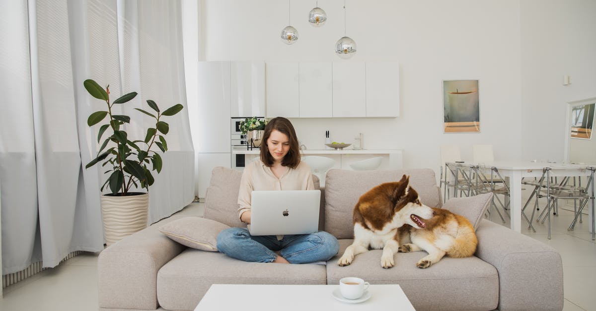 Tintin movie...what happened next? - A Woman Using a Laptop while Sitting on a Sofa next to her Dog 
