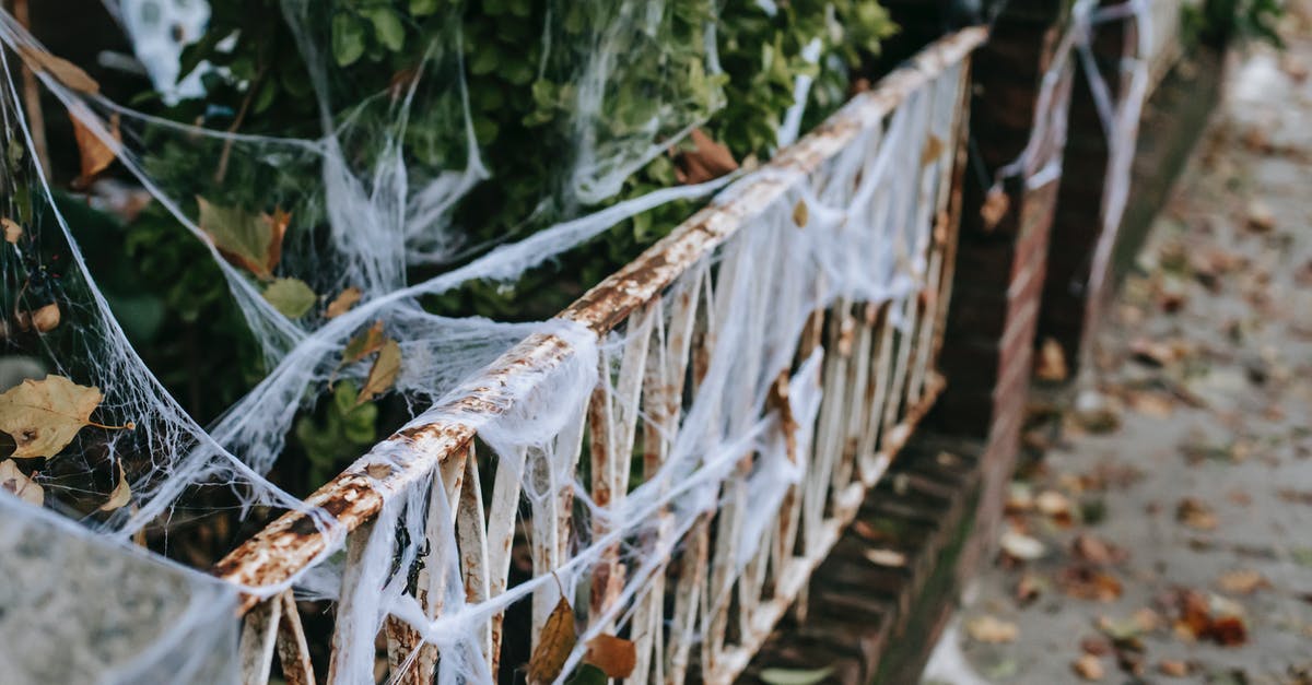 Trick Or Treat - What gives with the soundtrack? - Fake cobweb with fallen leaves on shrub and fence in residential district of city