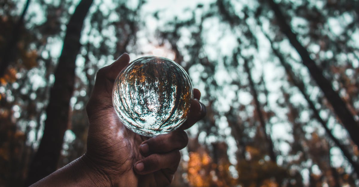 TV Shows with Season Parts 1 & 2 - From below of crop anonymous person holding transparent glass ball reflecting autumn trees in forest
