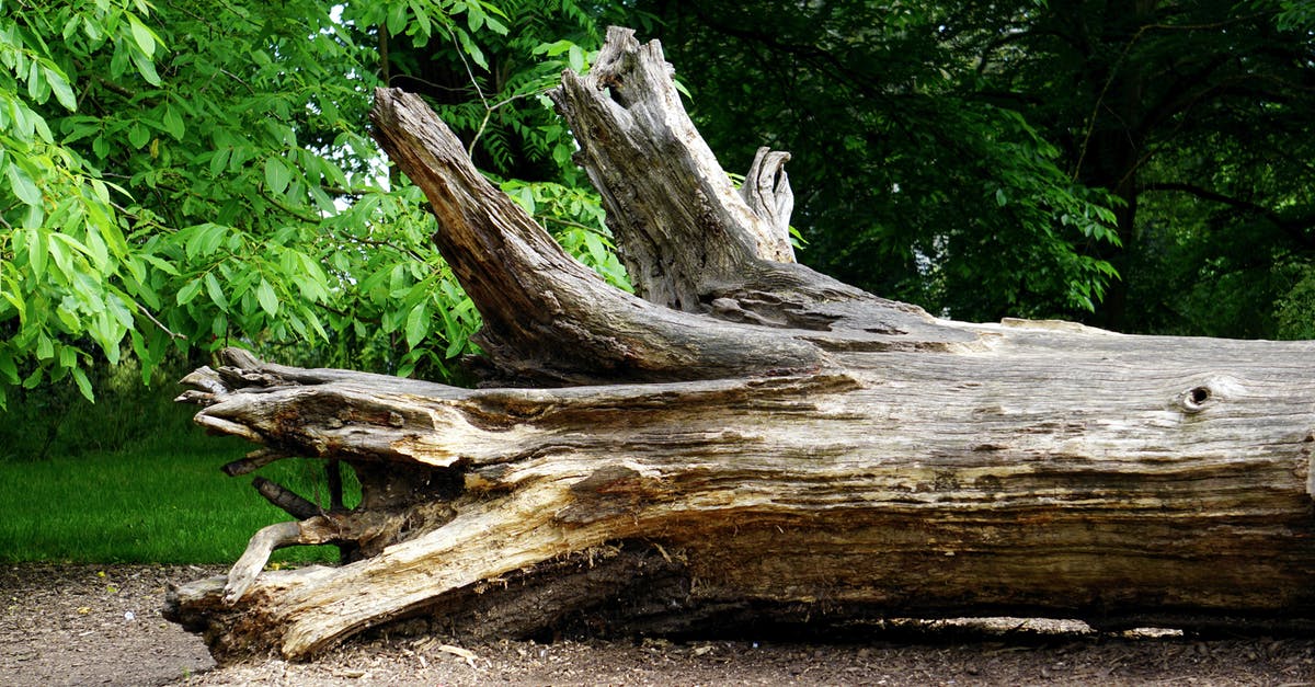 Vegetation in Jurassic Park - Tree Log