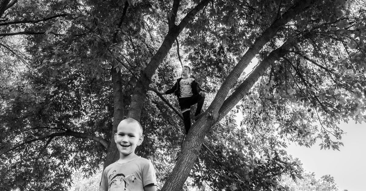 Vought and non-white races in The Boys - Kids Playing on a Tree