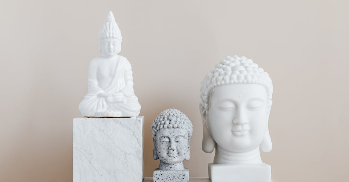 Was aged Ryan a CGI or it was different actor? [closed] - Collection of Asian busts and statue of Buddha made of white and gray stone with smooth surface on marble pedestal