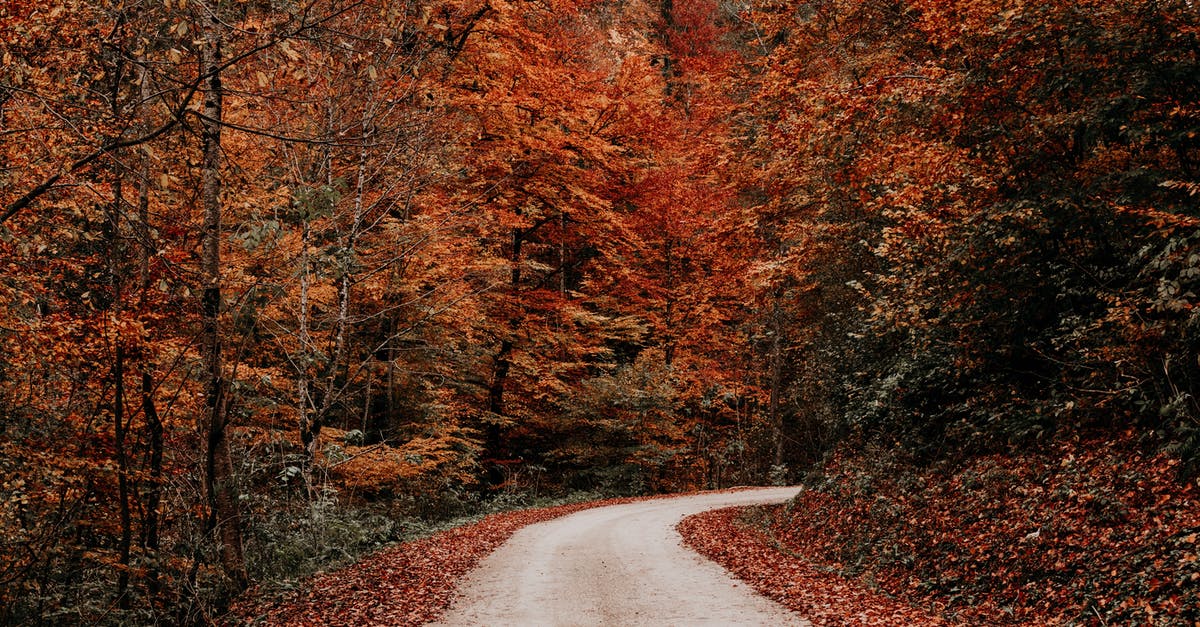 Was any of 'The Hunt for Red October' necessary? - Rural road running through yellow autumn forest