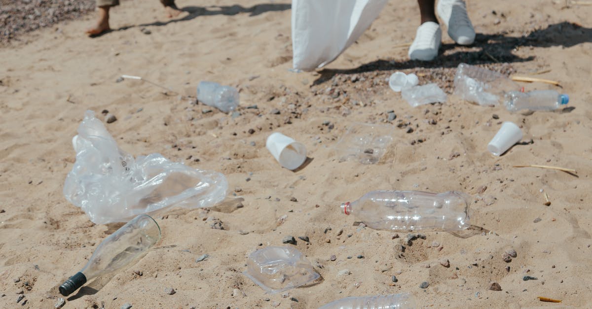 Was Gunda planned as a Trash movie? - Clear Plastic Bottle on White Sand