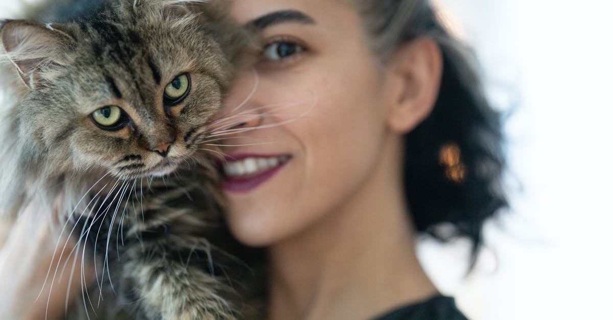 Was he wearing a nose prosthetic in Multiverse of Madness? [closed] - Woman Carrying Brown Tabby Cat