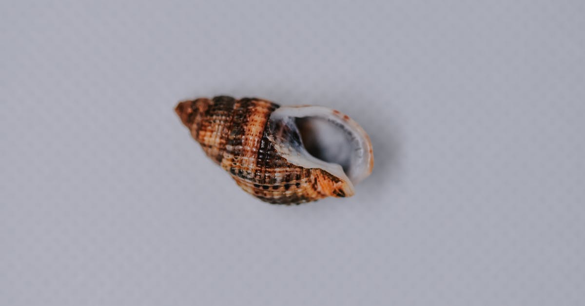 Was Jacob's downward spiral motivated purely by self-preservation? - Top view of whole shell with brown and orange stripes and spots placed on clean white cloth