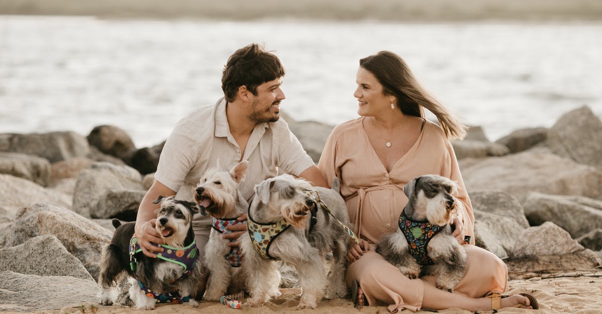 Was Nola really pregnant during the time of her murder? - Happy Couple Spending Time on Beach with Cute Dogs