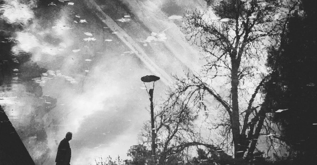 Was the 2012 Finnish film Iron Sky shown in full in Germany despite the multiple uses of Swastikas? - Black and white of drawing picture of faceless male walking on street with trees and flashlight in rainy weather