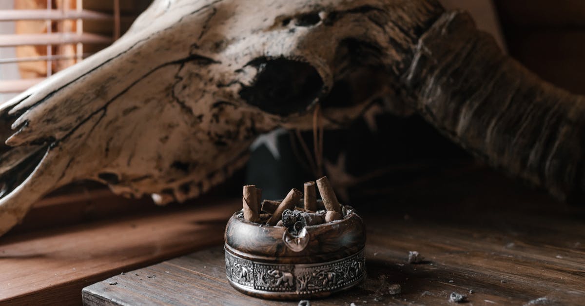 Was the end of Passengers realistic? - Old ashtray and cow skull on dusty wooden table