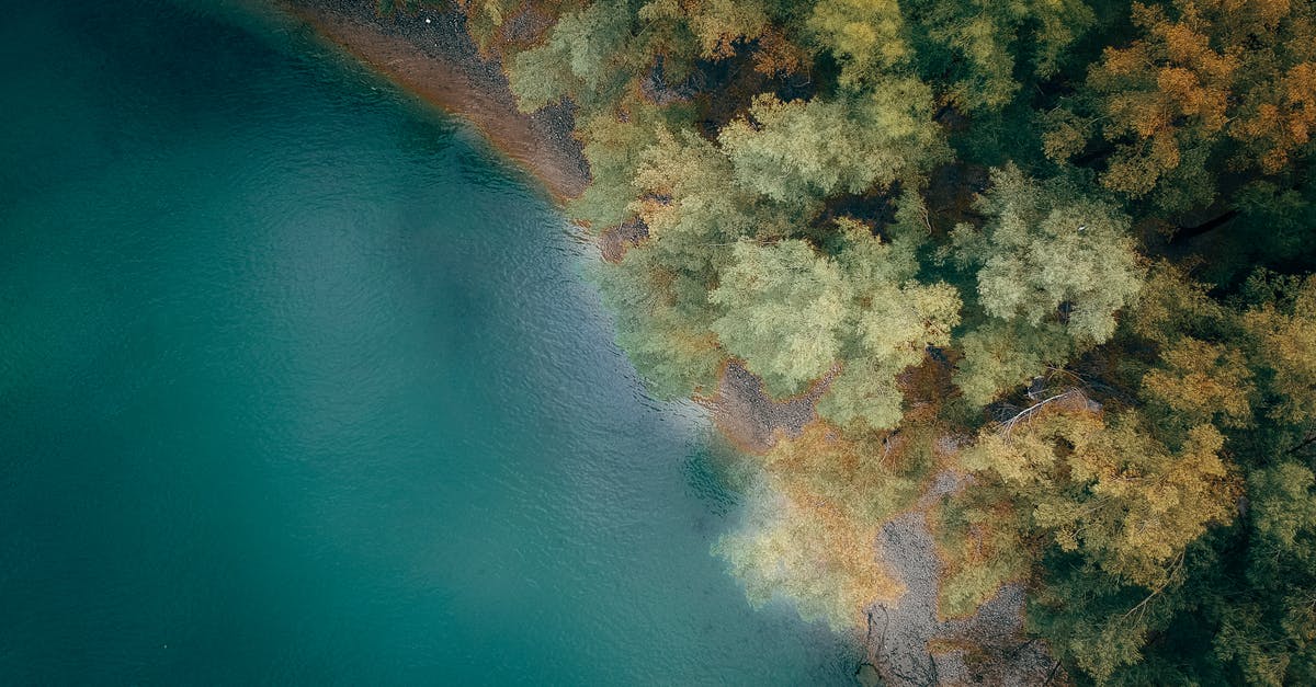 Was the Johnny B. Goode scene from Back to The Future inspired from Top Secret? - Picturesque aerial view of turquoise sea with rippled water near soundless forest with multicolored trees in fall in daylight
