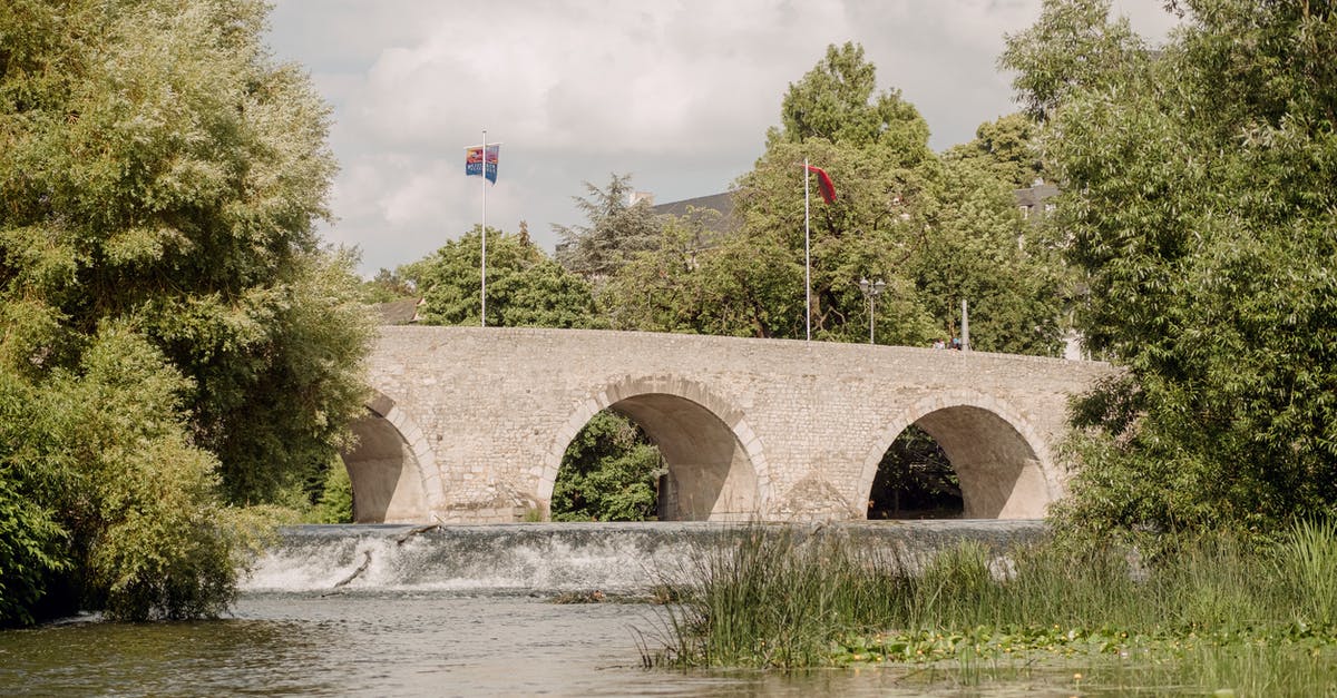 Wasn't River crossing her own timeline? - Old Bridge with Flags near Green Trees