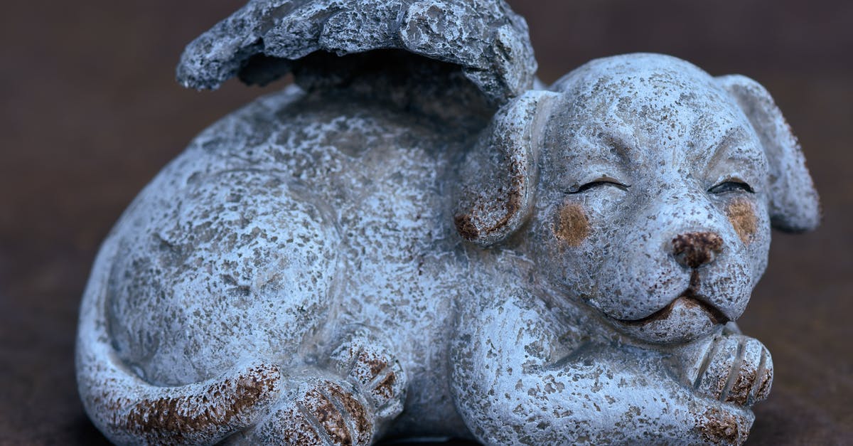 Weird Dog statue in Donnie Darko - 