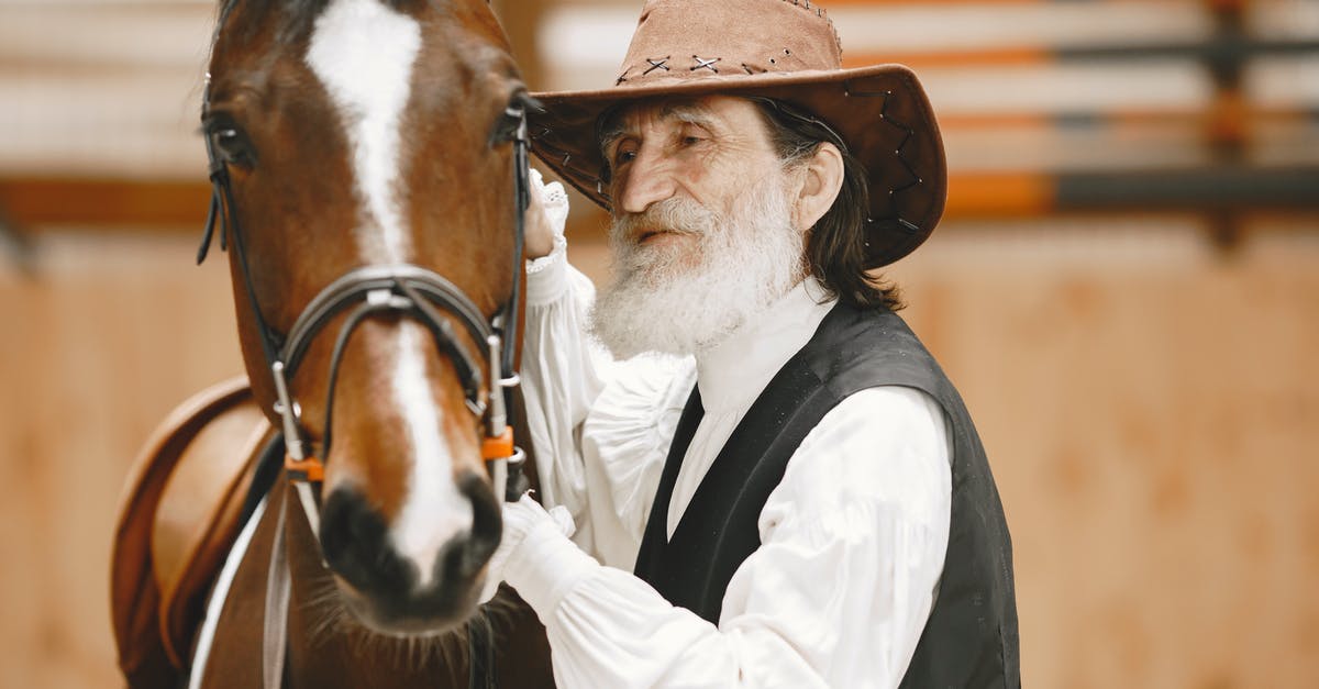 Were cowboy stories popular before movies? - Free stock photo of adult, cavalry, cowboy