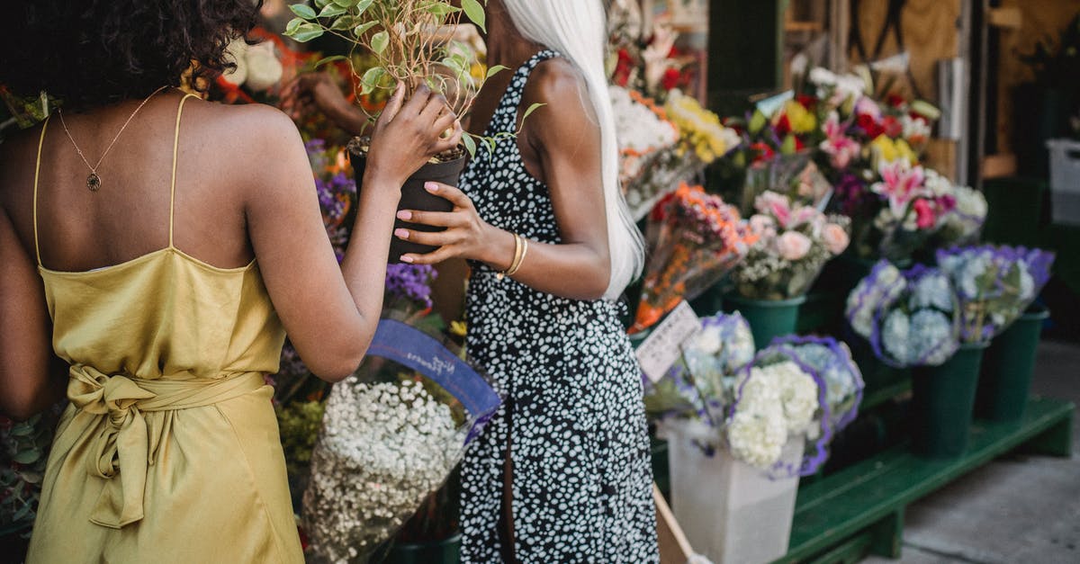 What's happening exactly as before? - Woman in Yellow Sleeveless Dress Holding Bouquet of Flowers