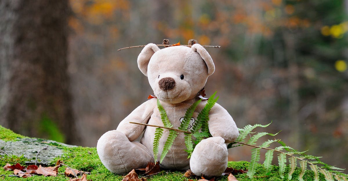 What's so important about the teddy bear in Taken 2? - Gray Bear Plush Toy on Green Grass during Daytime