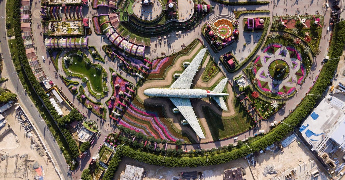 What's the importance of that scene with Gabby? - Aerial Photography of Park With Airplane