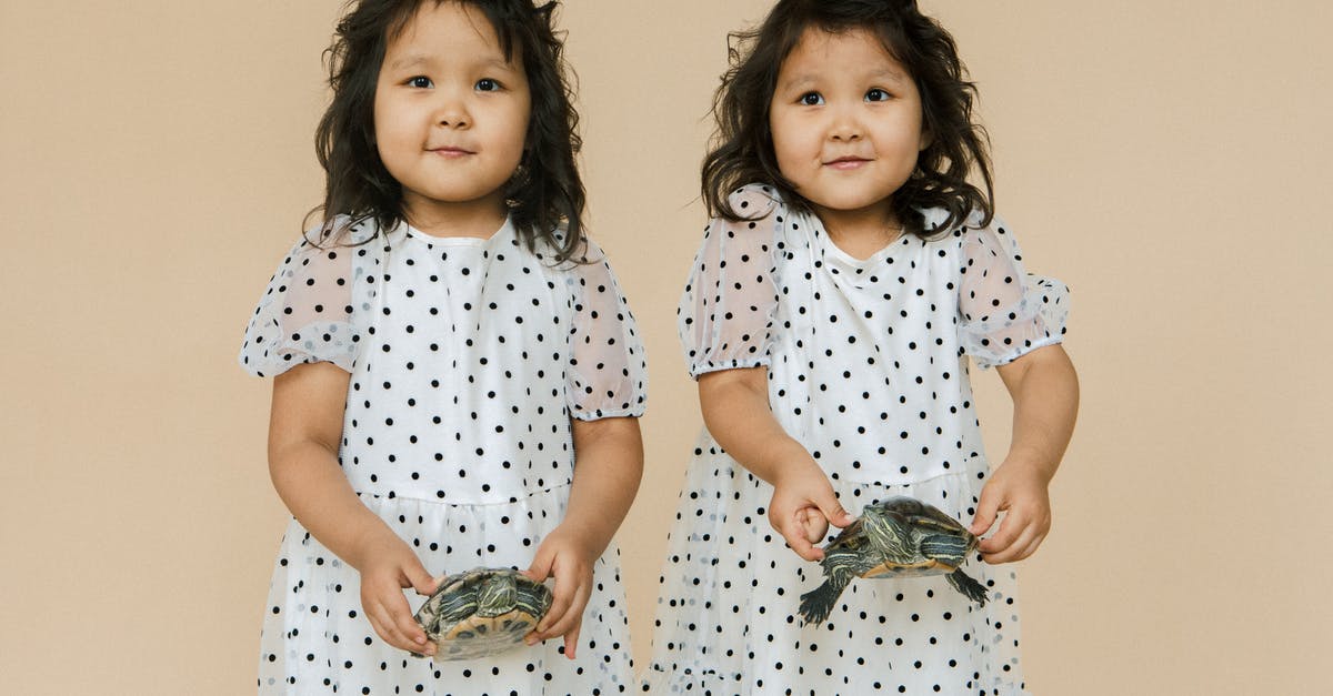 What's the importance of the twins in the movie? - Small Twin Girls Holding Turtles
