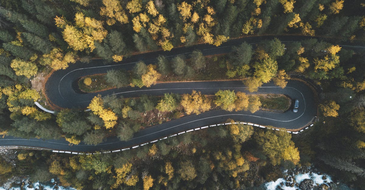 What's the significance of the car freshener? - Top View Photo of Curved Road Surrounded by Trees
