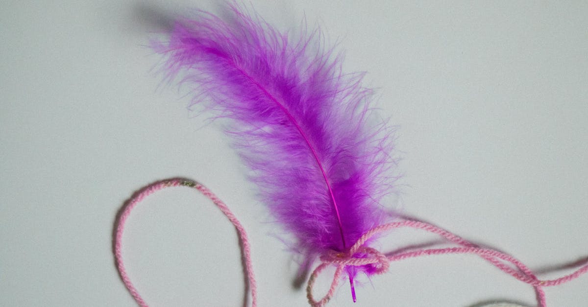 What's the significance or symbolism of the trinket tied with an orange string to the backpack? - Purple Feather on White Surface