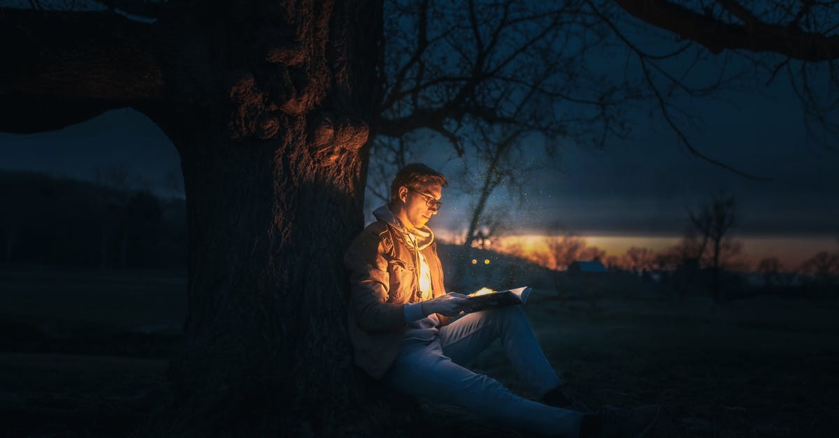 What are all the magical creatures/Beasts in Newt Scamander's suitcase? - Man Sitting Under A Tree Reading A Book during Night Time