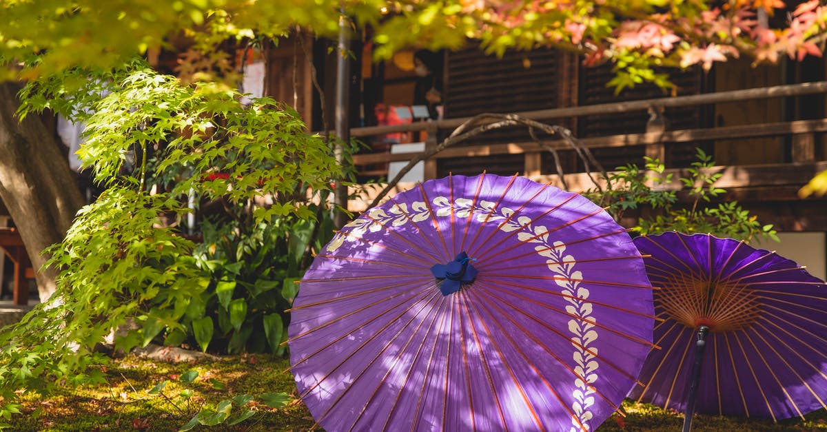What changes were made in Princess Kaguya from the original Tale of the Bamboo Cutter story? - Lilac umbrella in garden near house